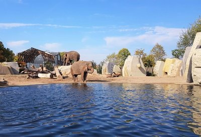 아르티스 동물원(아르티스)